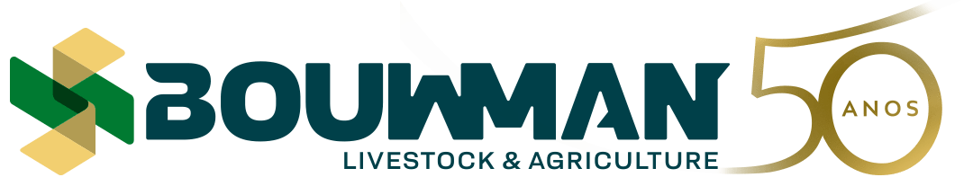 Logo Bouwman